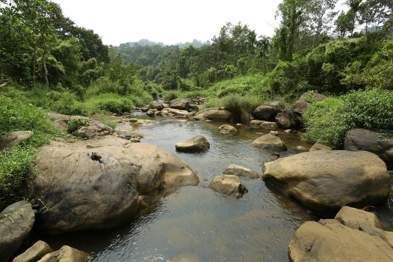 Ayursakthi Riverdale Munnar Exterior foto