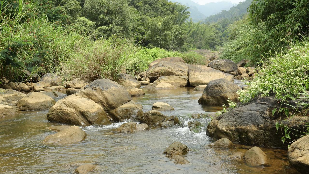 Ayursakthi Riverdale Munnar Exterior foto