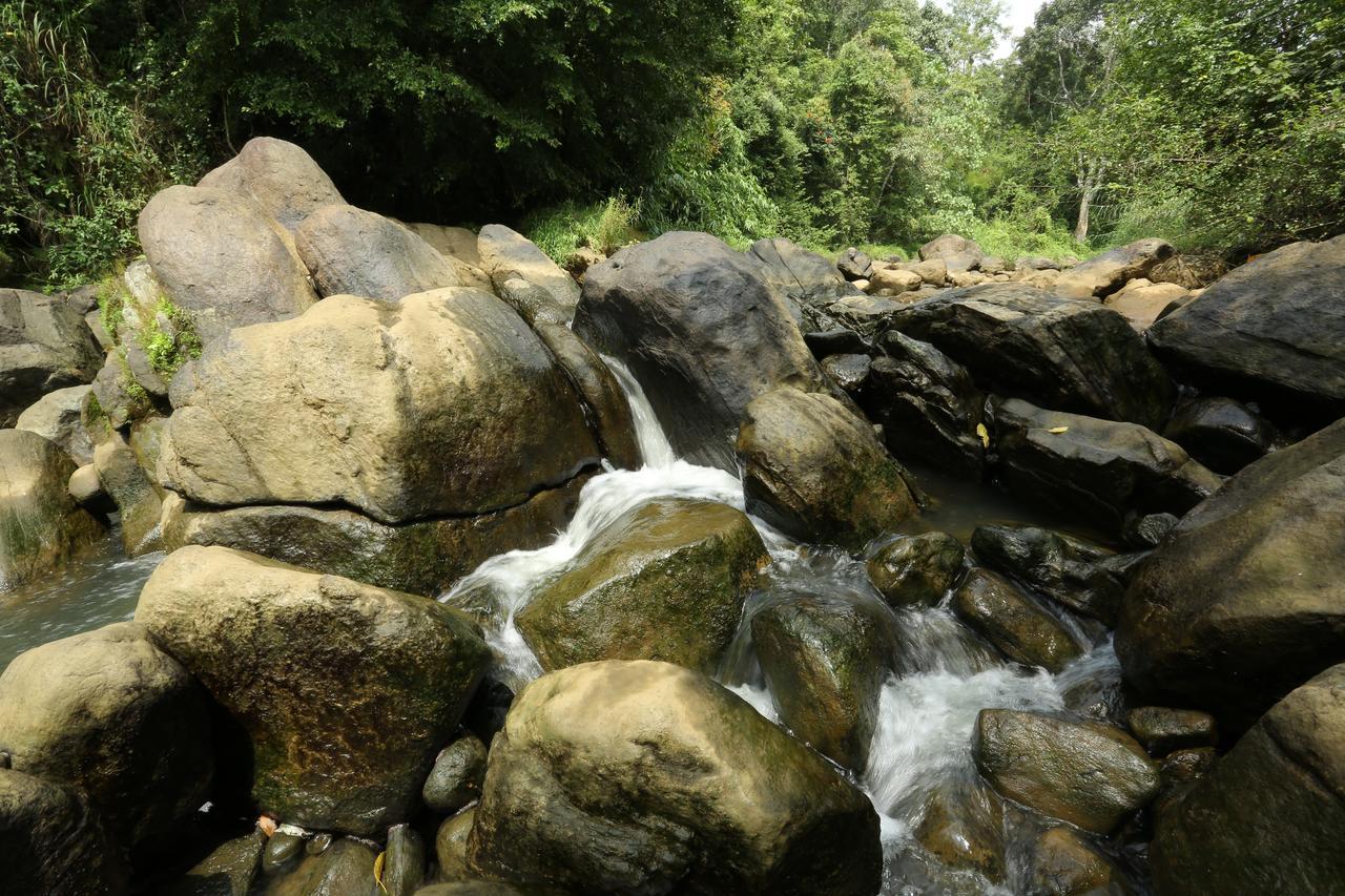 Ayursakthi Riverdale Munnar Exterior foto